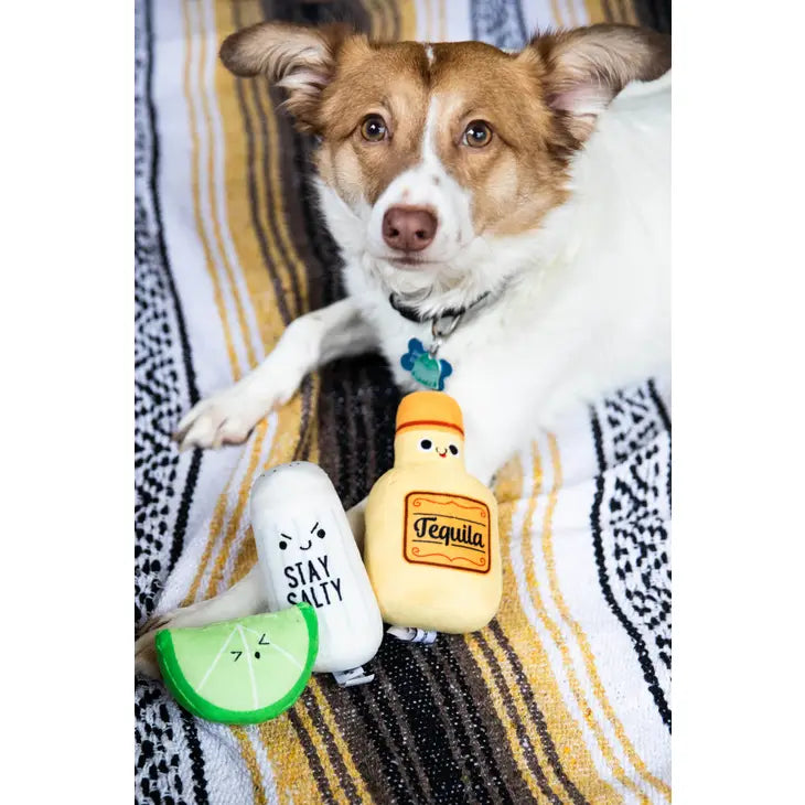 Turnt Up Dog Toy Set