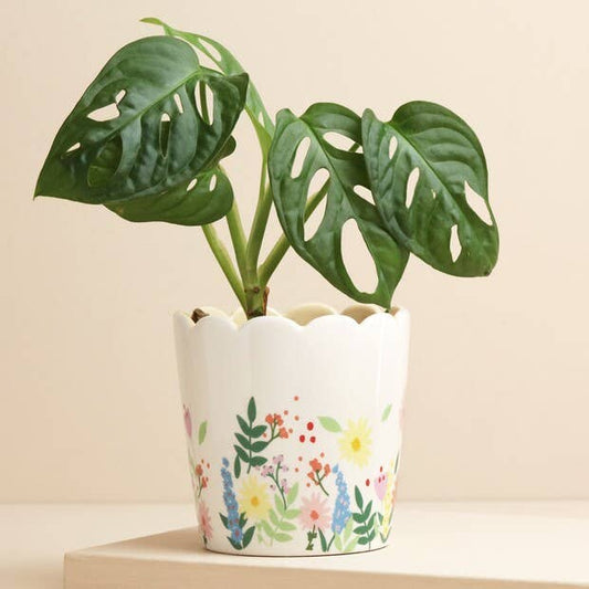 Floral Scalloped Planter