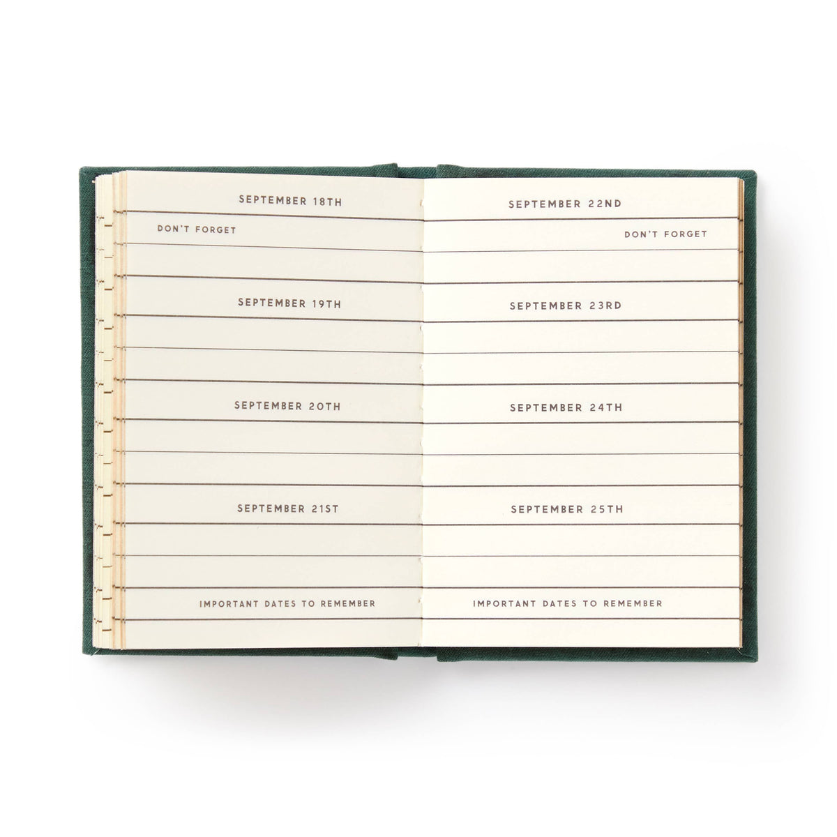 Vintage-Inspired Tiny Diary | 2.75" x 3.75" Pocket Notebook with Gilded Edges