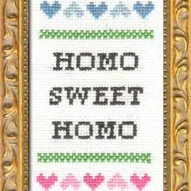 Homo Sweet Homo Cross Stitch Kit
