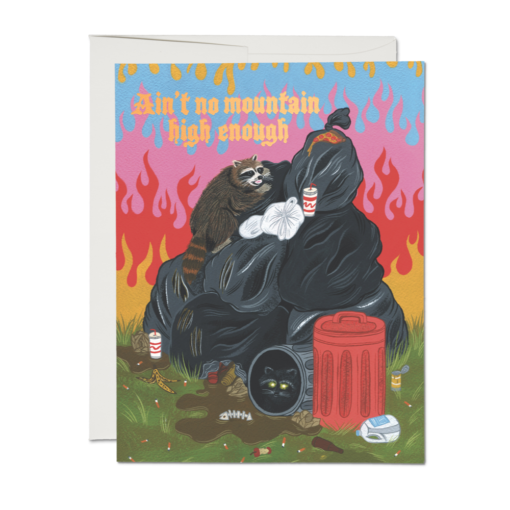 Raccoon Congratulations Greeting Card