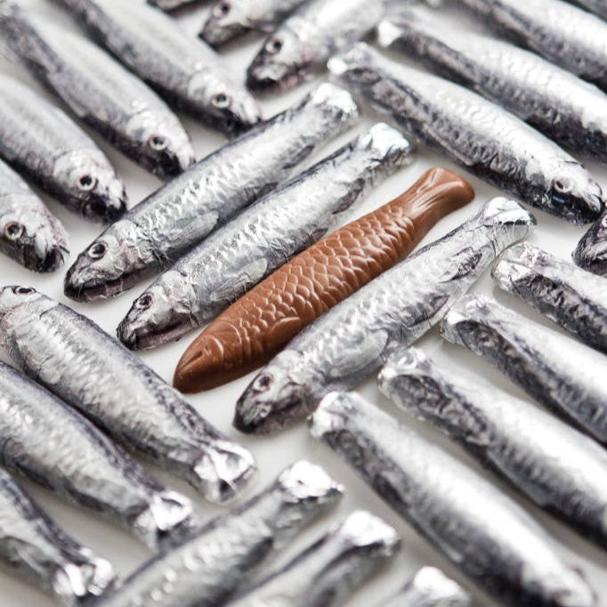 Sardines in a Net