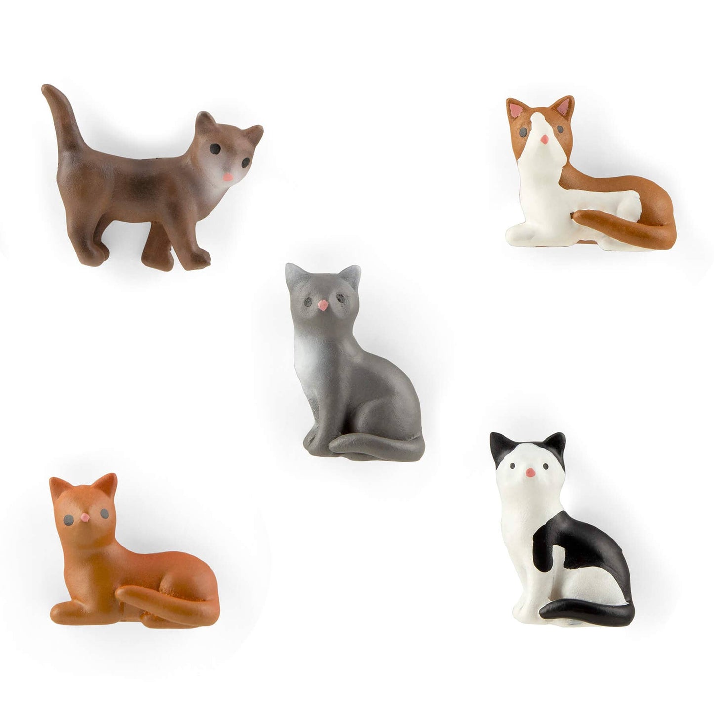 Cat Magnet Set