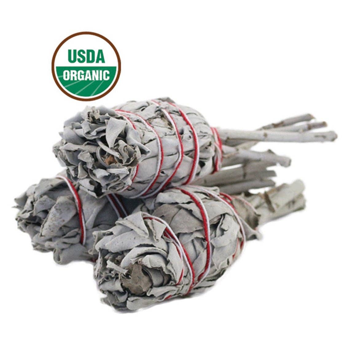 White Sage Torch Smudge Stick