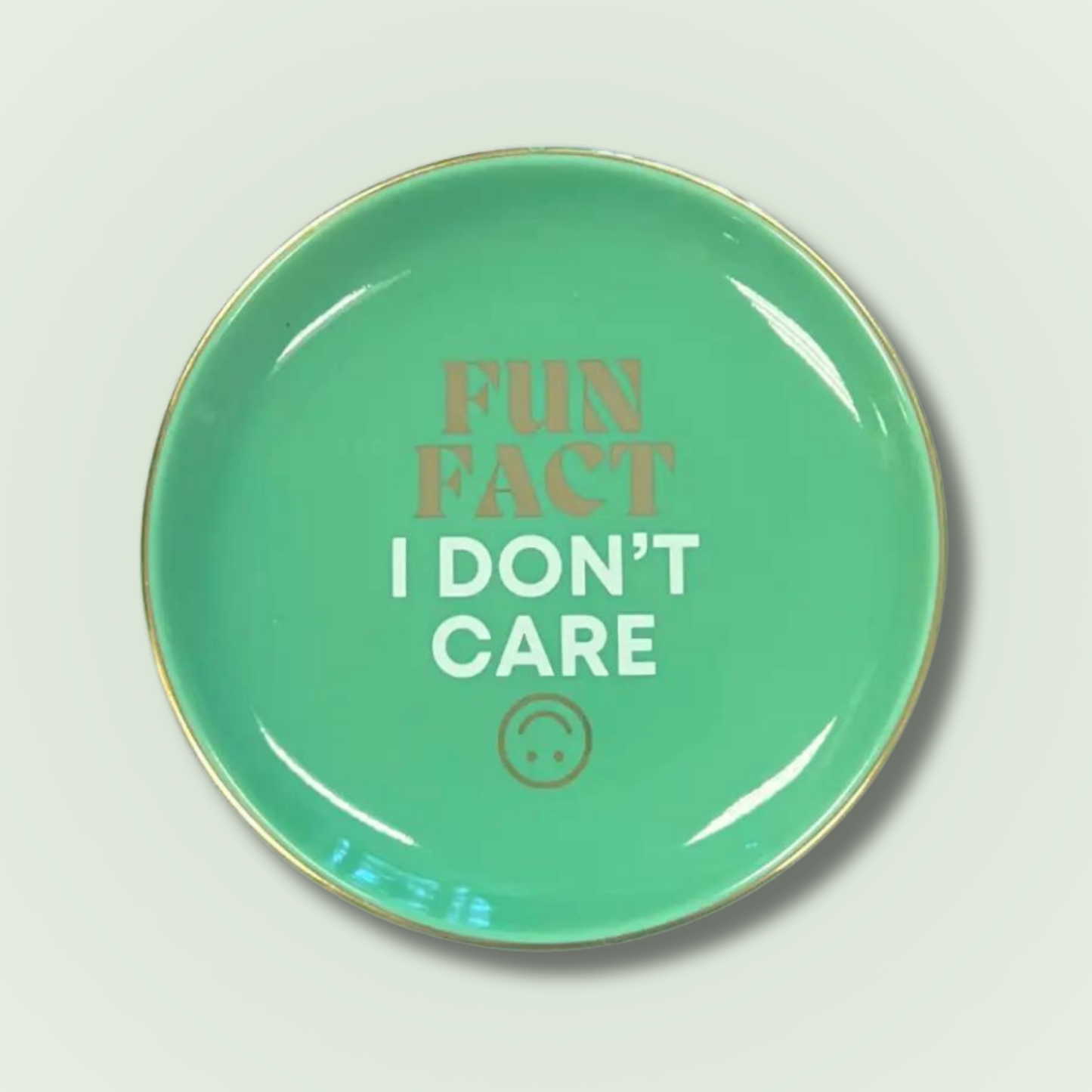 Fun Fact I Don't Care Trinket Tray