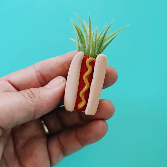 Hotdog Mini Planter and Plant