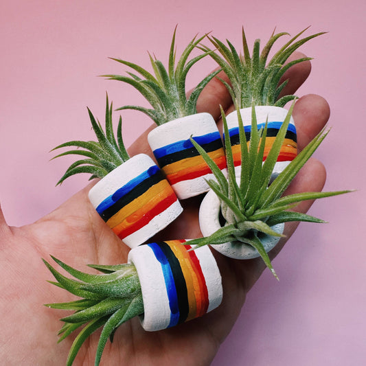 80"s Rainbow Mini Planter