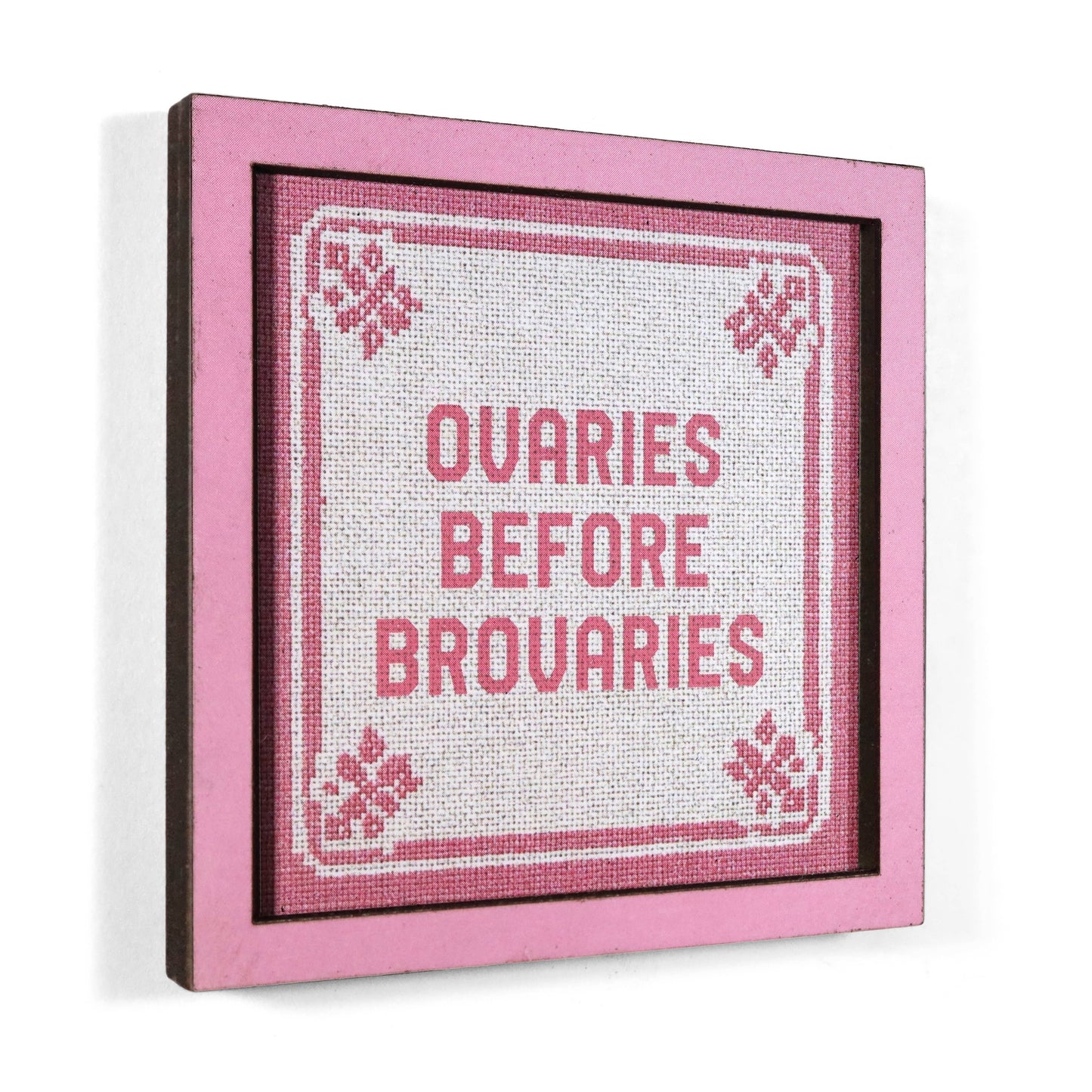 Ovaries Before Brovaries Magnet