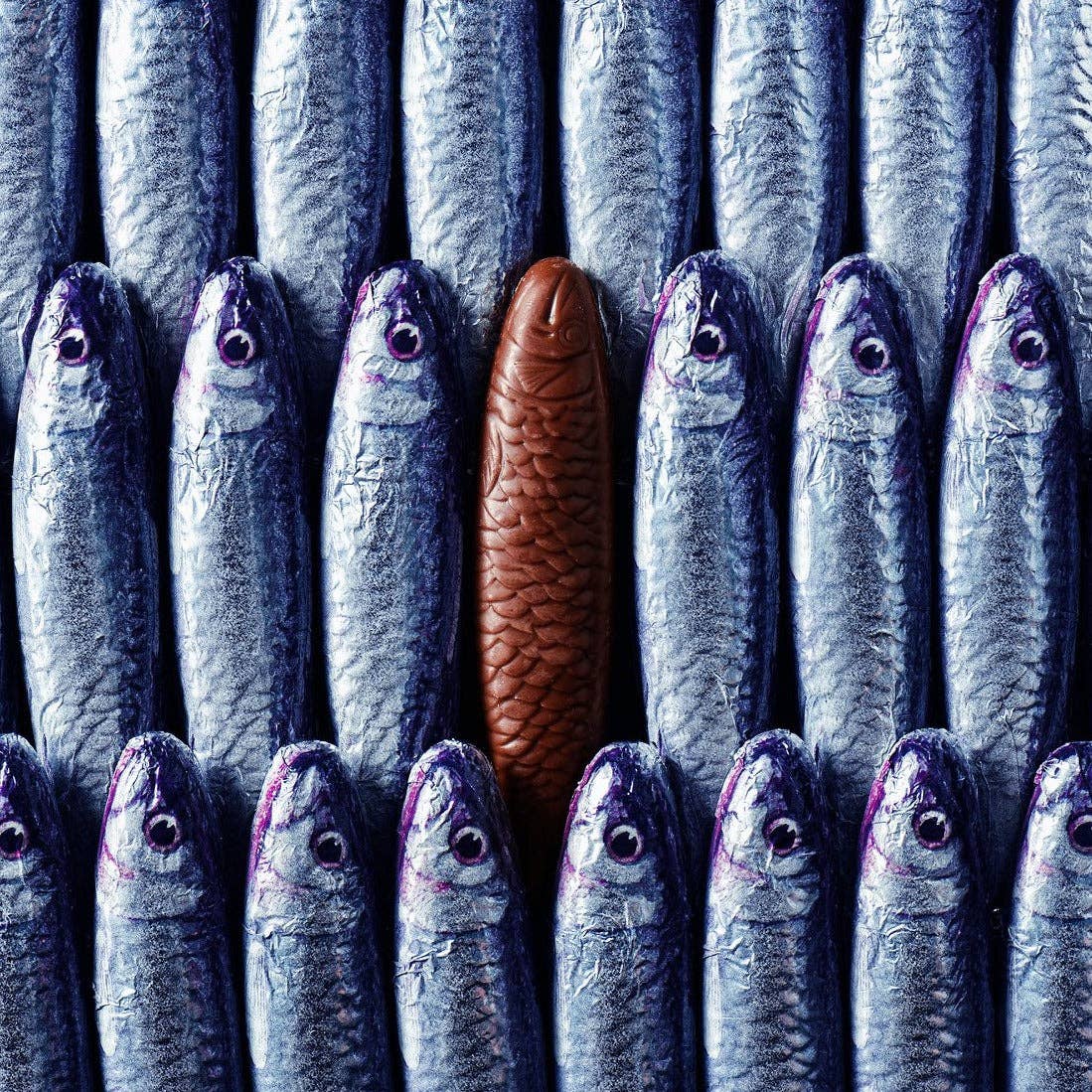 Chocolate Sardines Tin