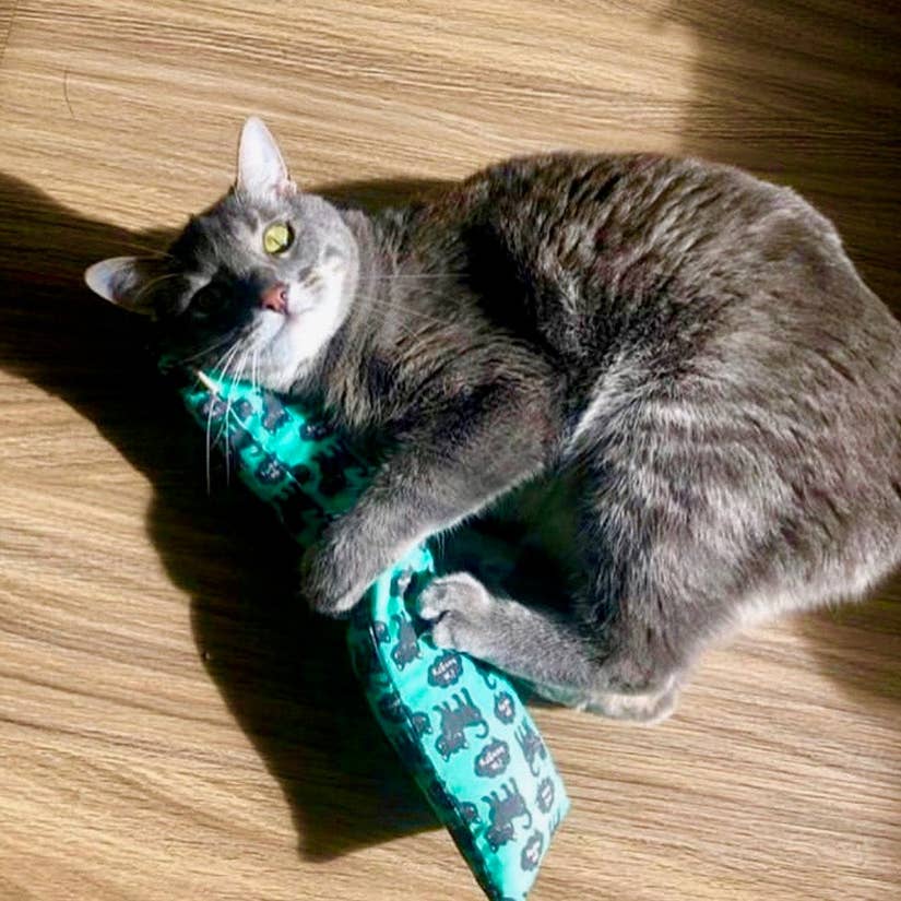Jumbo Catnip Kicker Cat Toy