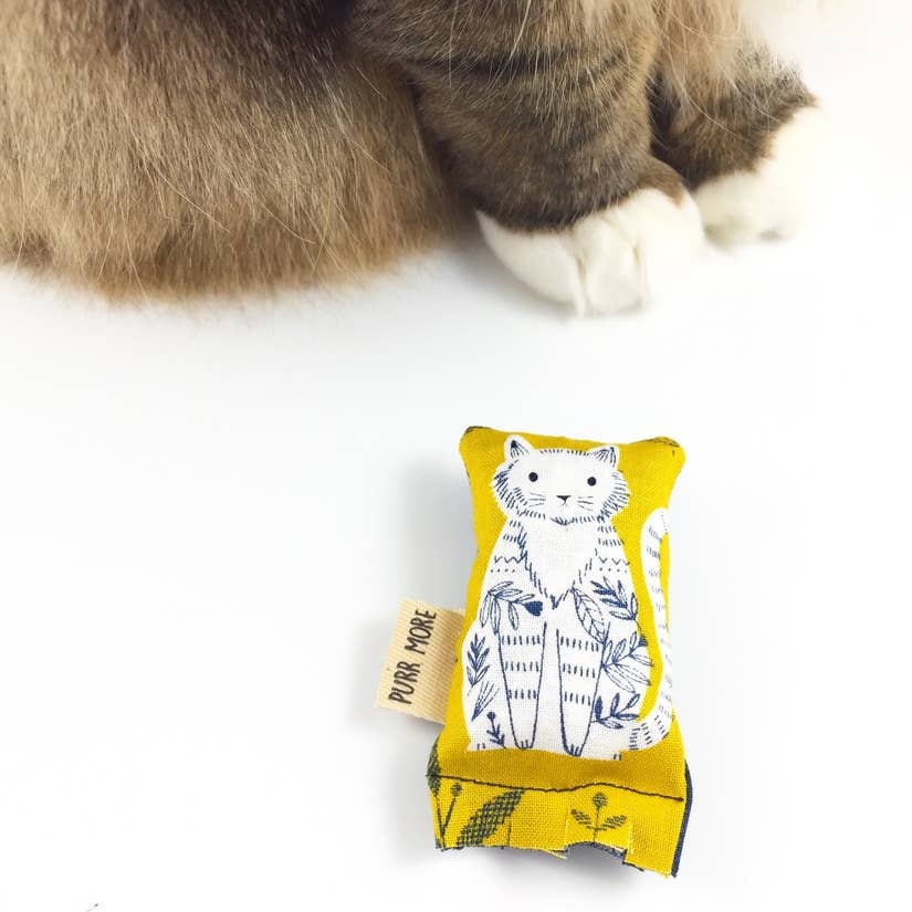 Mini Catnip Kicker Toy
