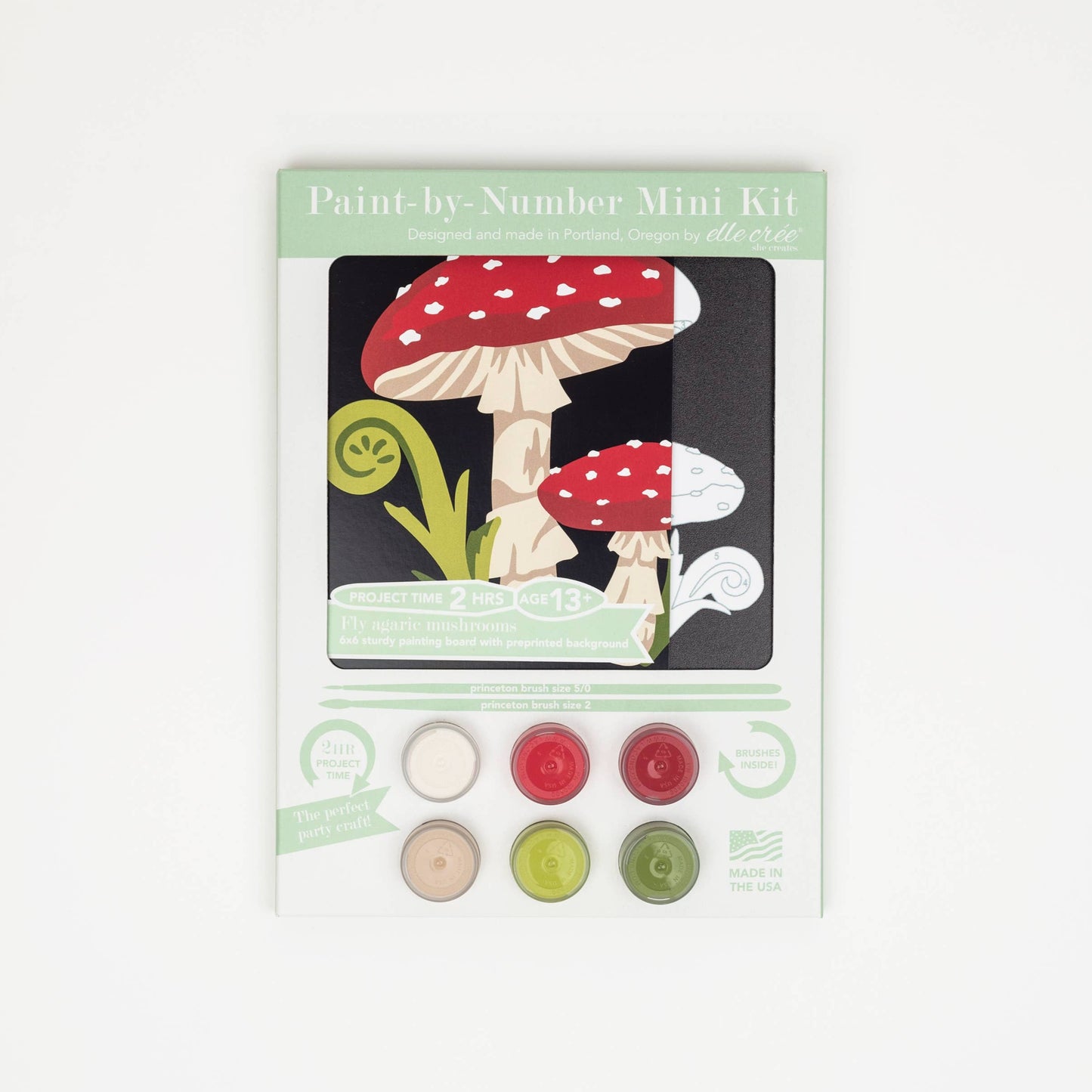 Fly Agaric Mushrooms Paint-by-Number Kit