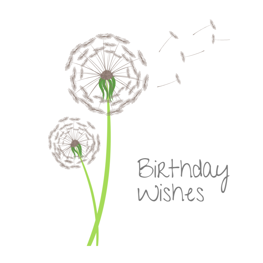 Birthday Wishes Card