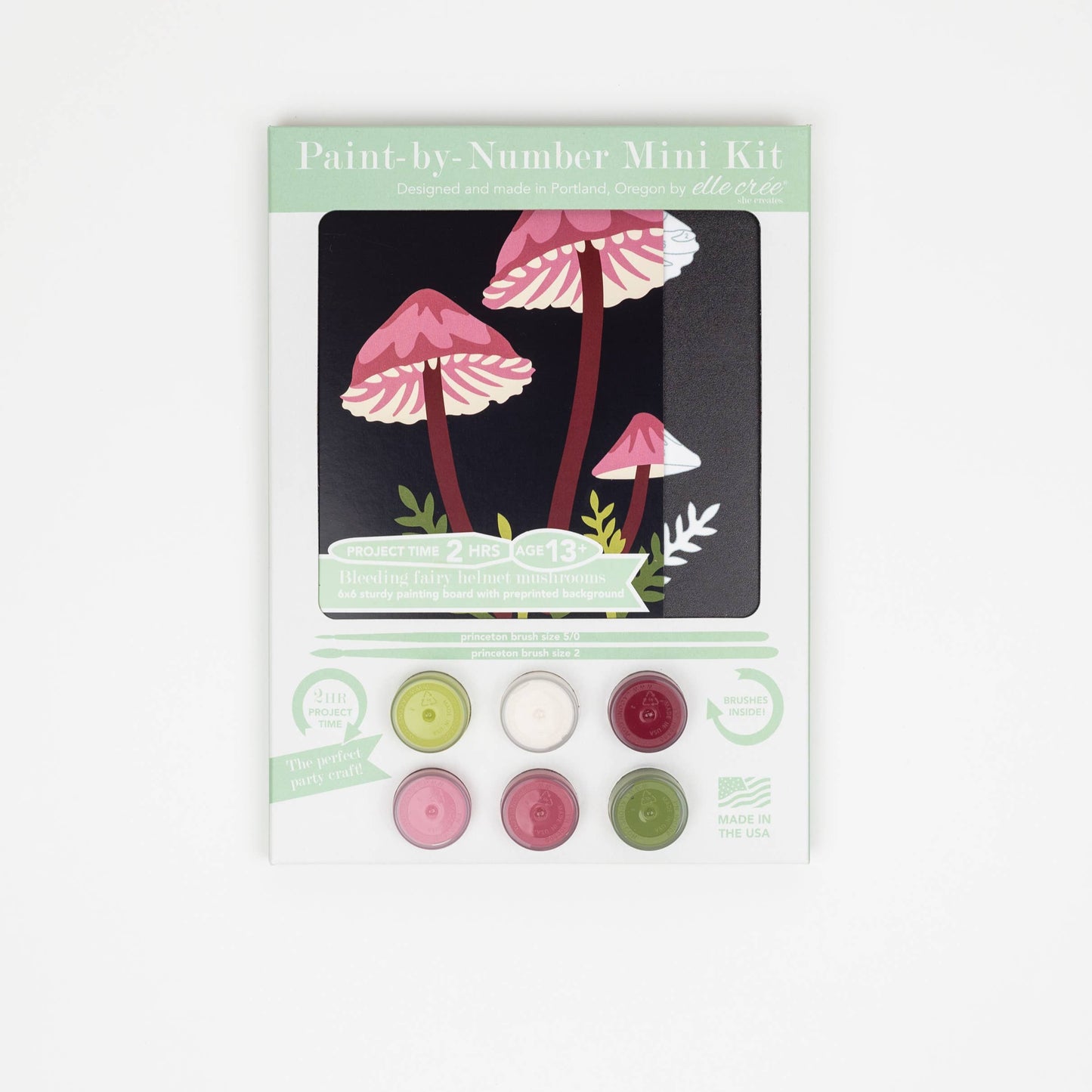 Helmet Mushrooms Paint-by-Number Kit