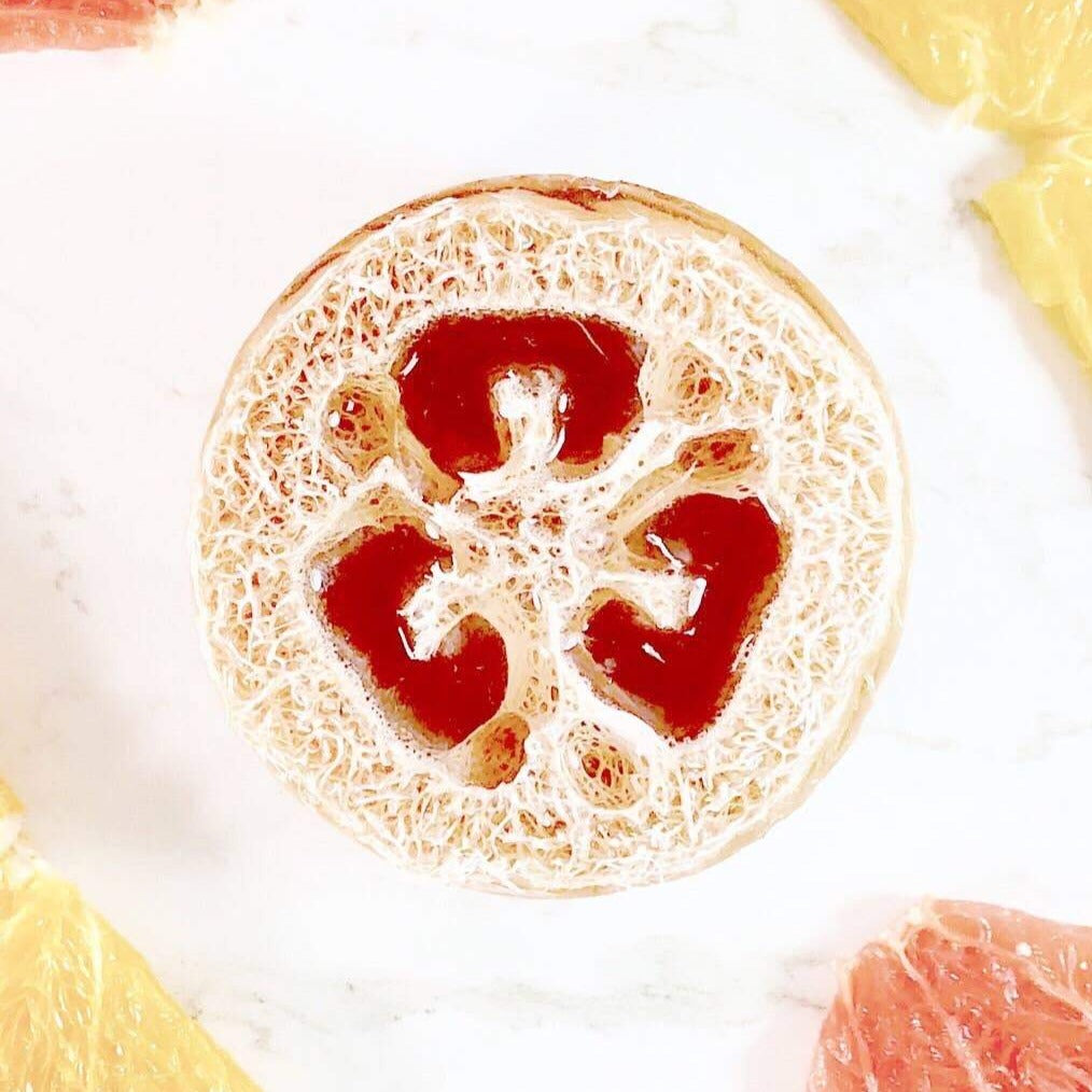 Citrus Loofah Soap
