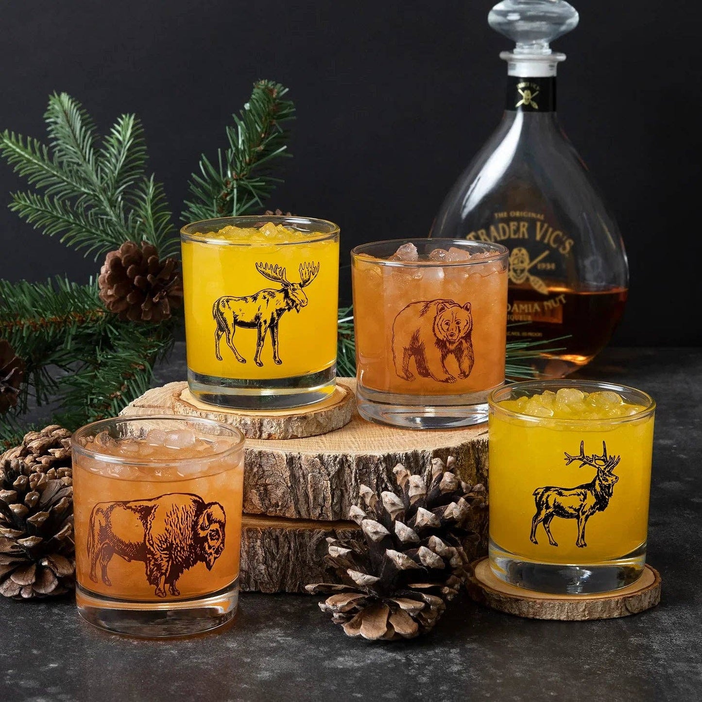 National Park Rocks Glass Set | Set of 4 Whiskey Glasses