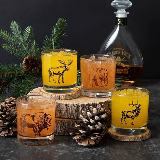 National Park Rocks Glass Set | Set of 4 Whiskey Glasses