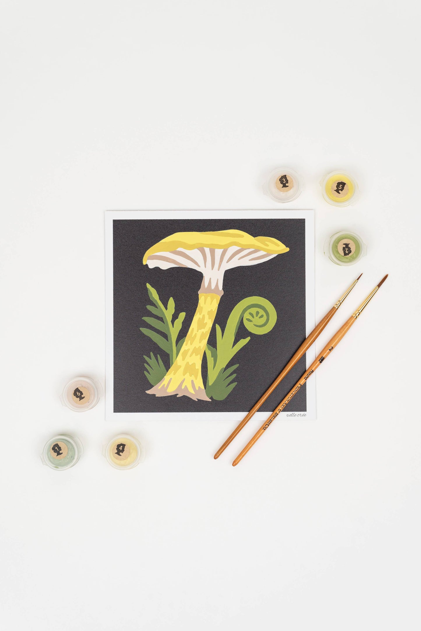 Fawn Mushrooms MINI Paint-by-Number Kit