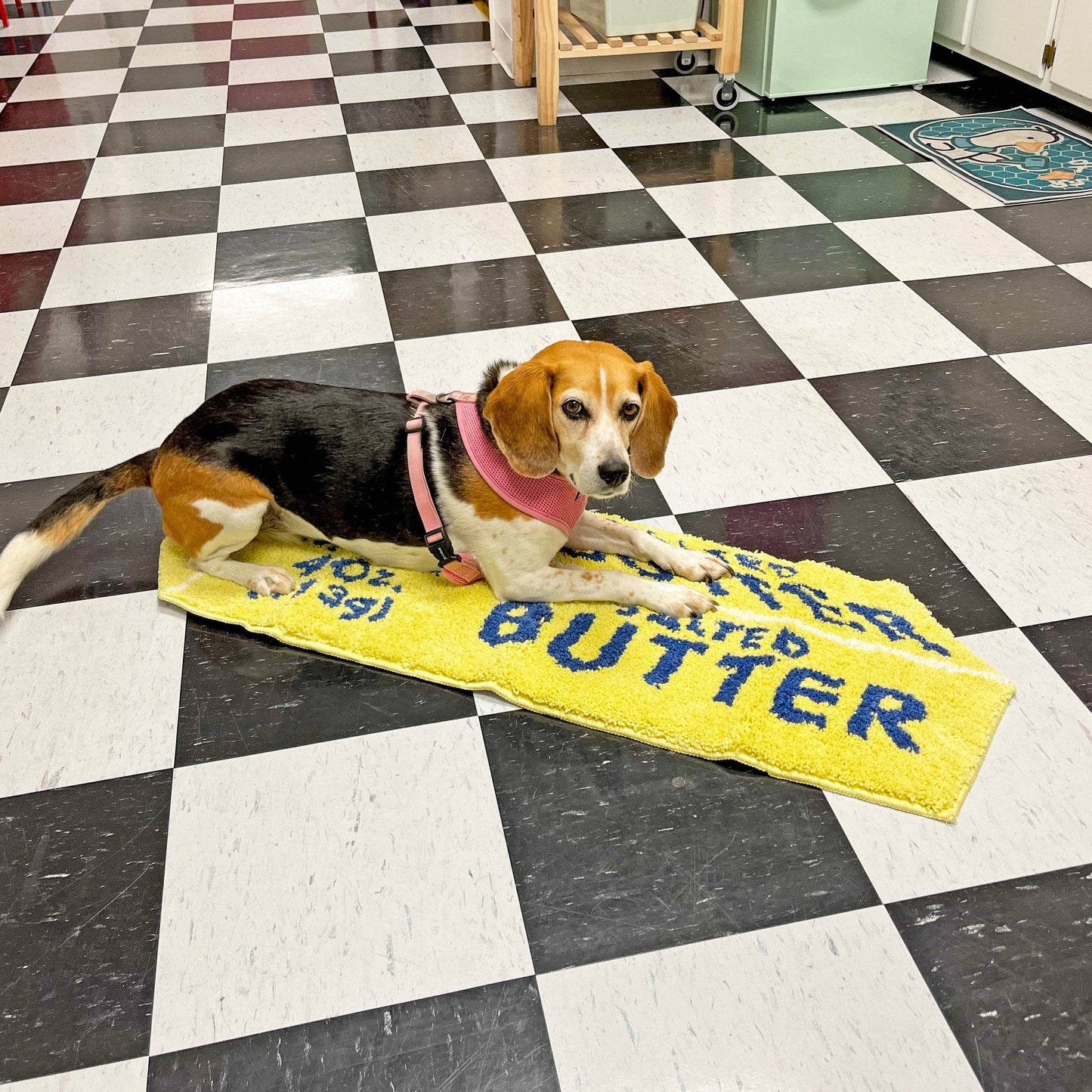 Stick of Butter Novelty Rug – Quirky Food-Shaped Decor & Wall Art
