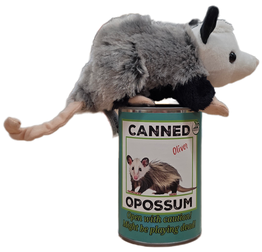 Oliver the Canned Opossum Stuffed Animal Plush