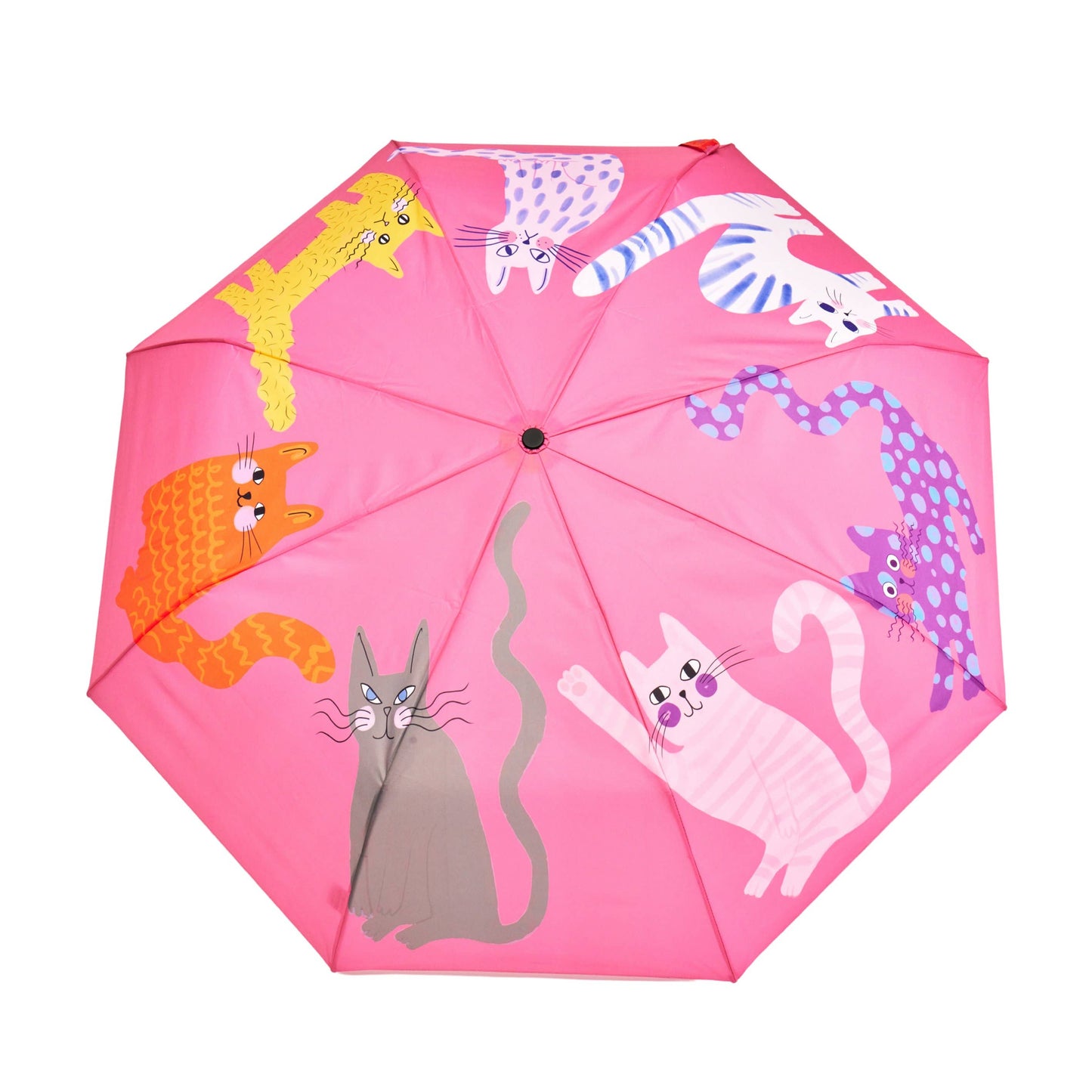 Colorful Arty Cats Duck Umbrellas
