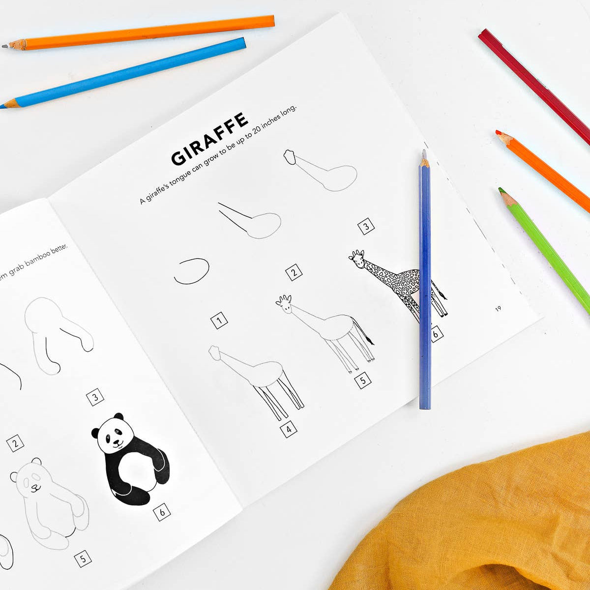 All The Animals: How to Draw Art Book for Kids | Step-by-Step Drawing Guide