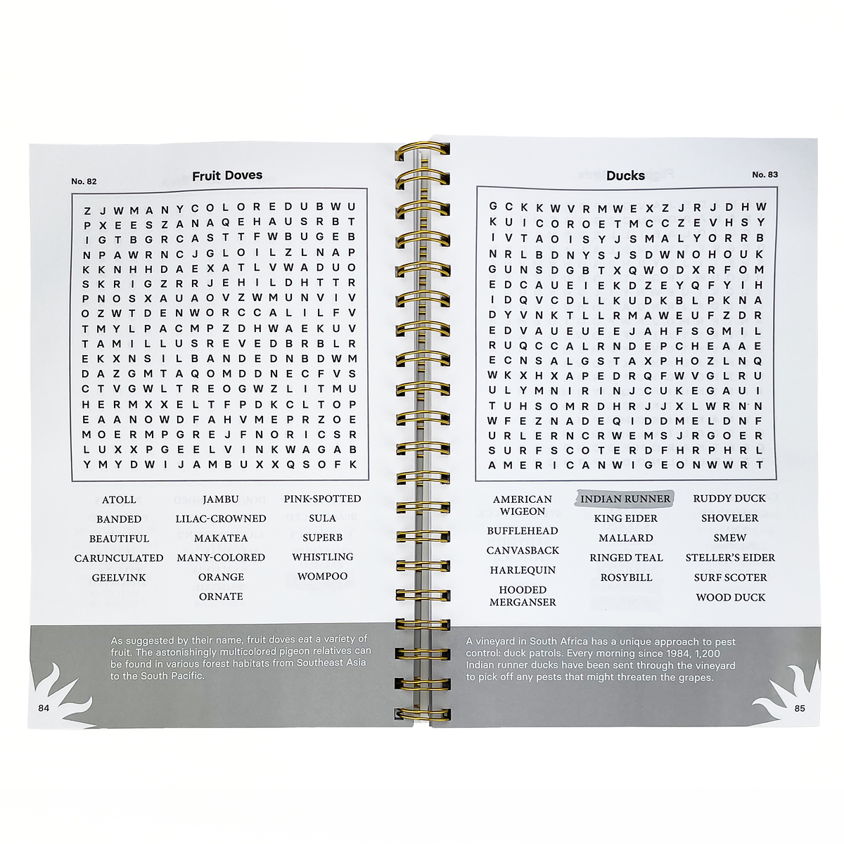 Smithsonian Word Search Birds of World Feathers and Flight