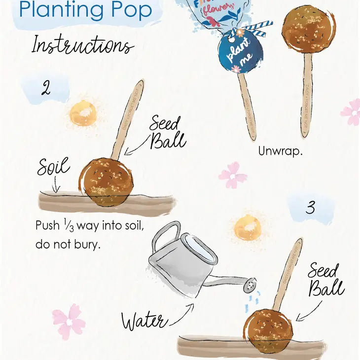 Seed Planting Pop Stands
