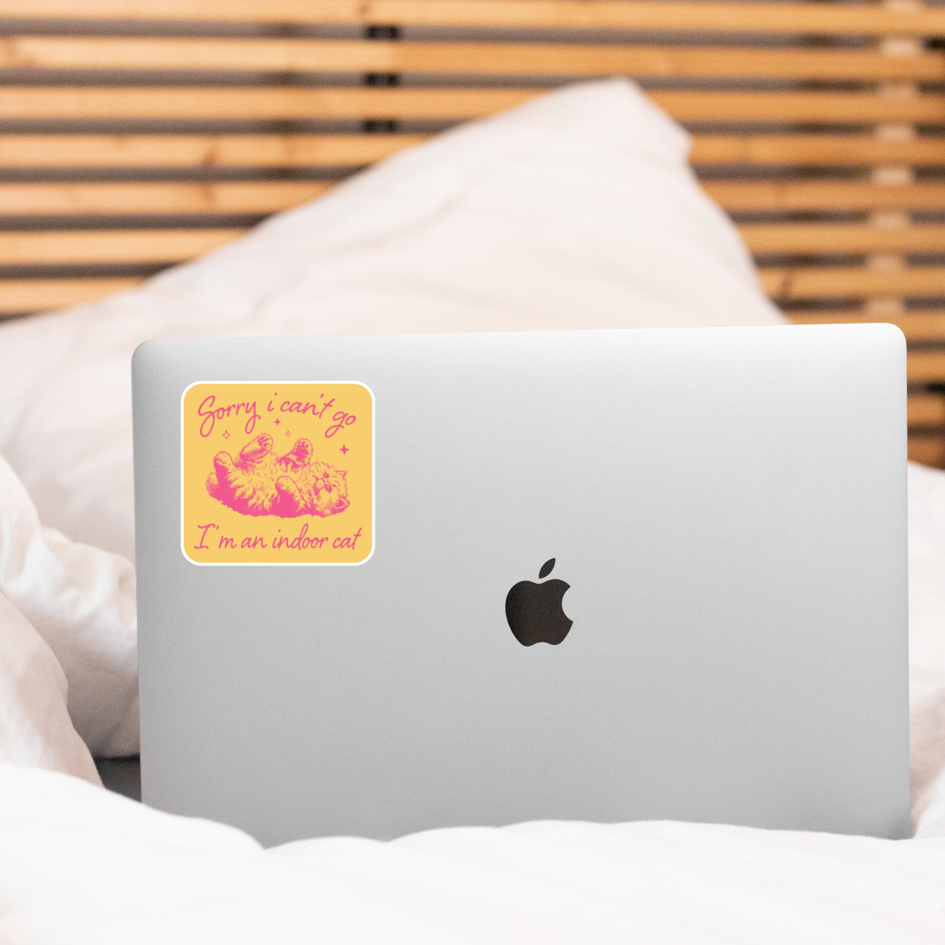 Sorry I Can't Go I'm an Indoor Cat Sticker