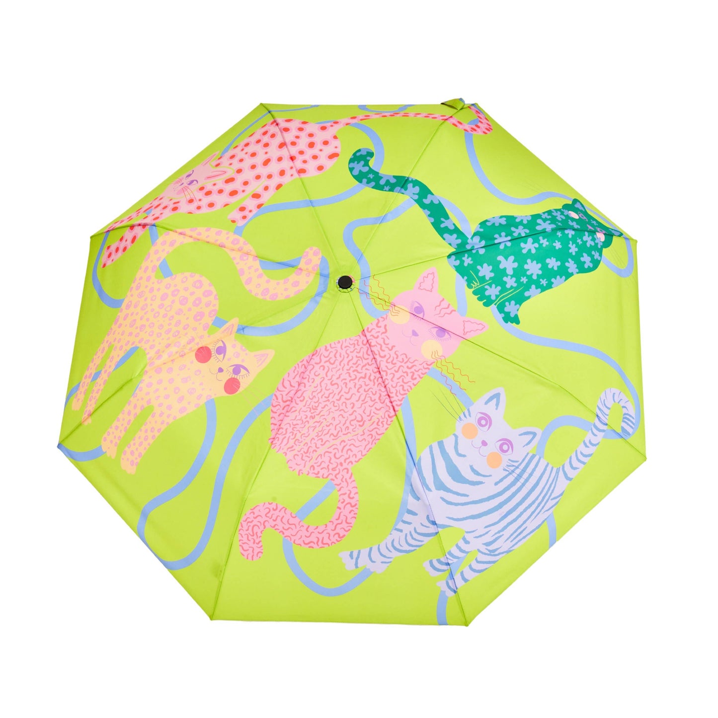 Colorful Arty Cats Duck Umbrellas