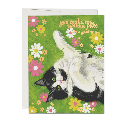 Kitty Love Greeting Card