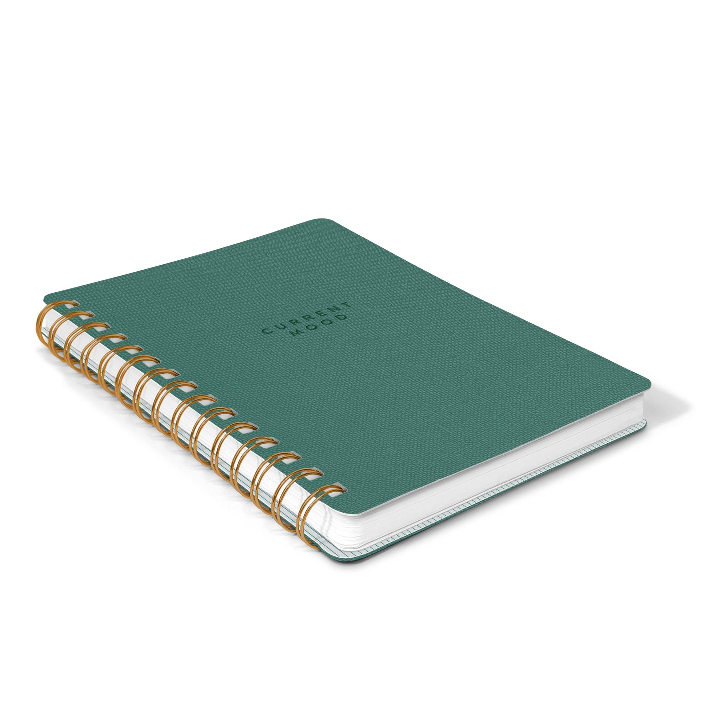 Current Mood Agatha Notebook