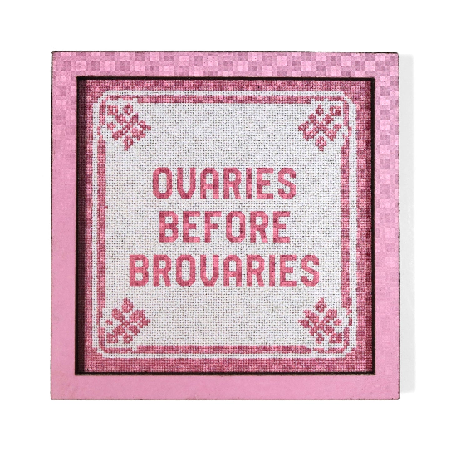 Ovaries Before Brovaries Magnet