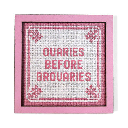 Ovaries Before Brovaries Magnet