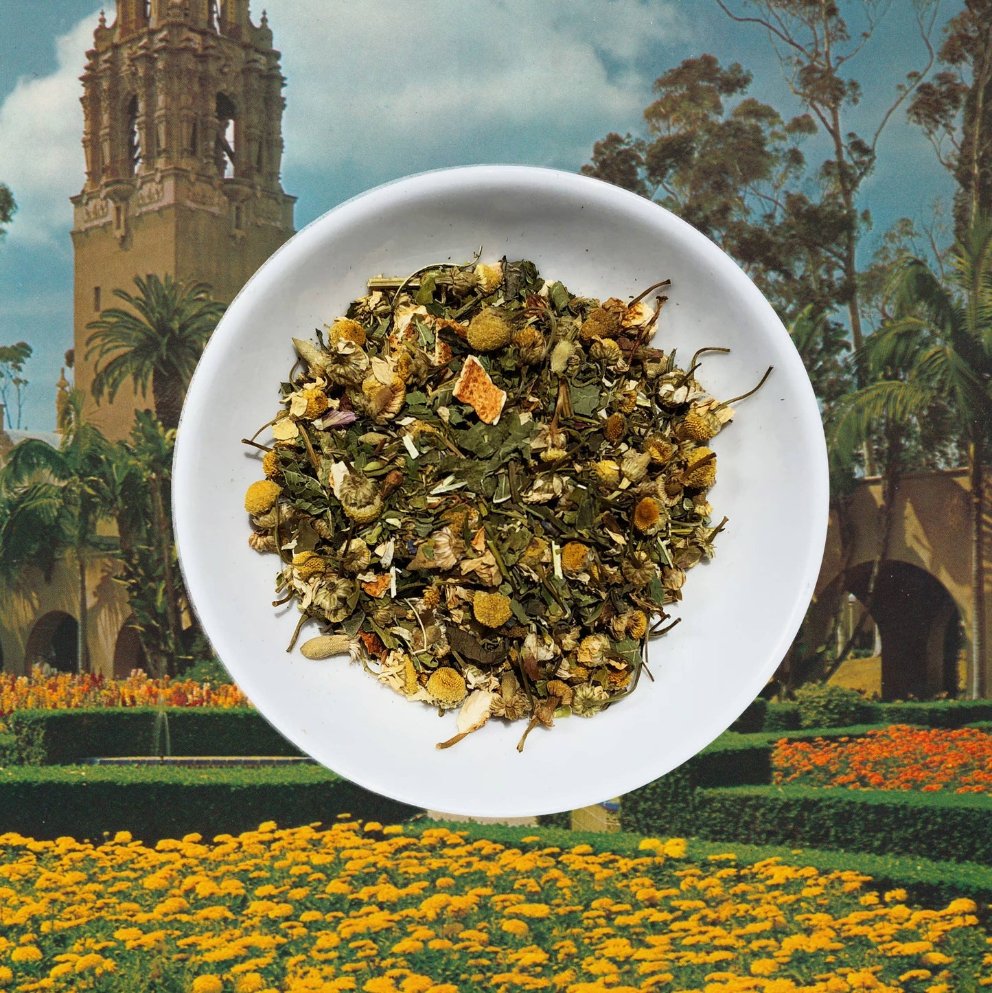 Chronic Wellness Loose Tea