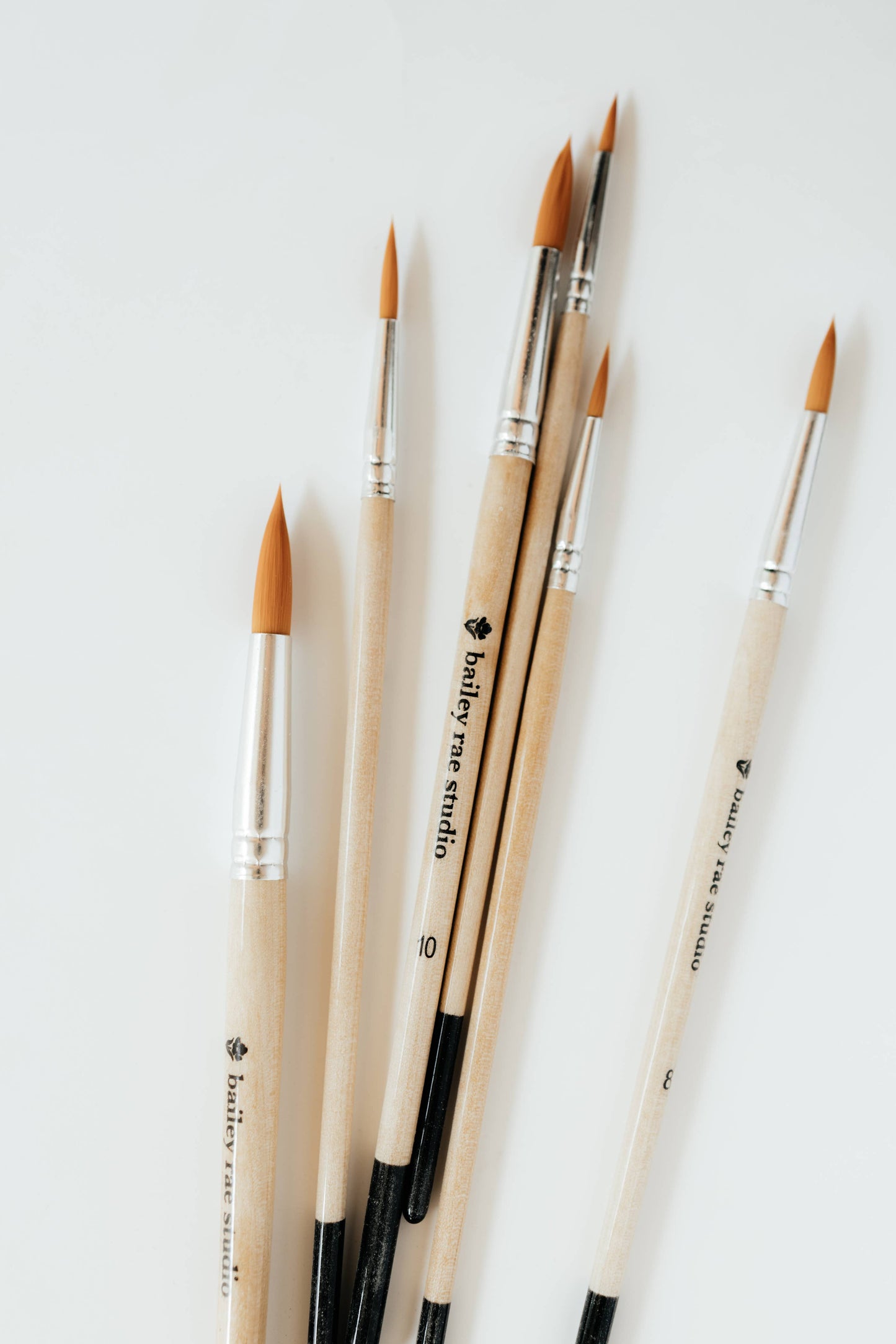 Round Paint Brush Set – 6 Essential Sizes