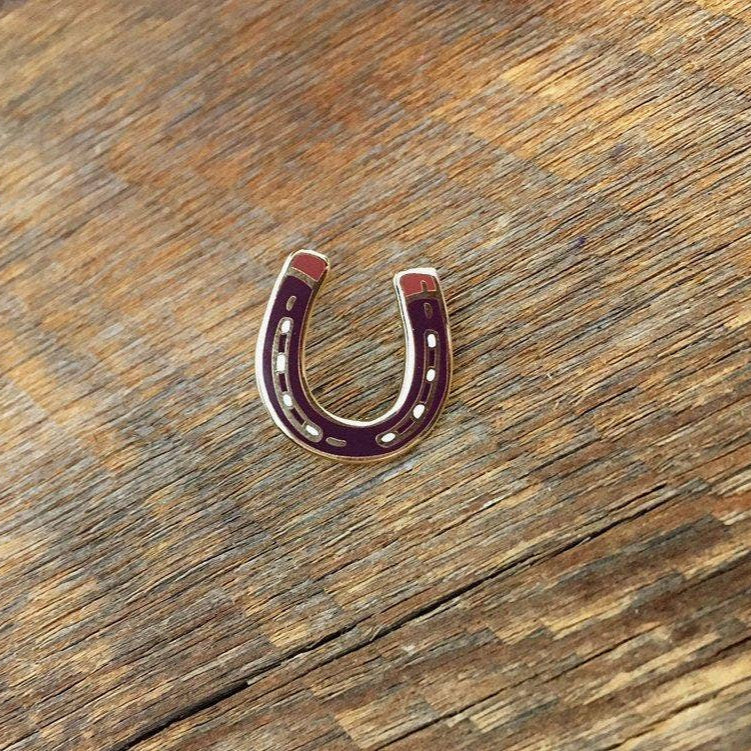 Horseshoe Pin