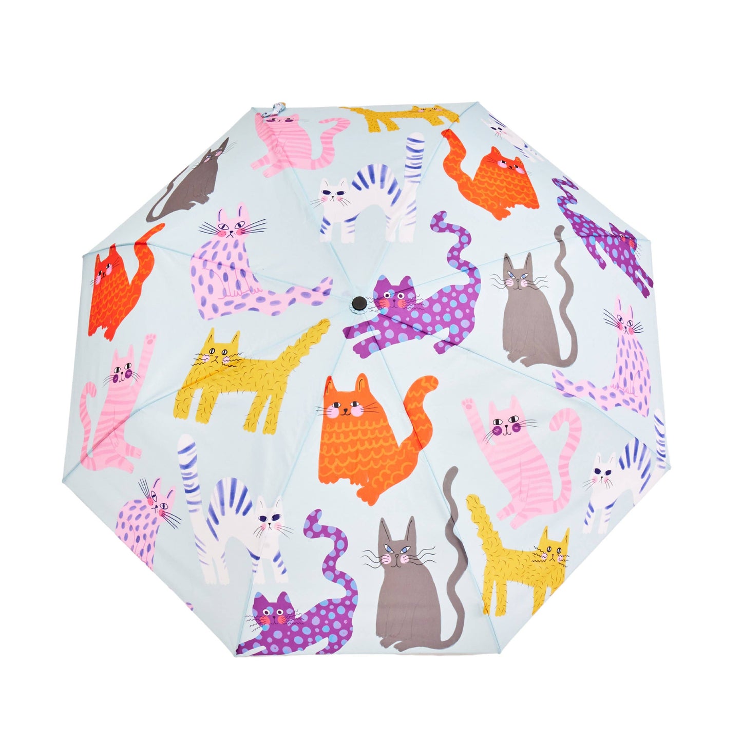 Colorful Arty Cats Duck Umbrellas
