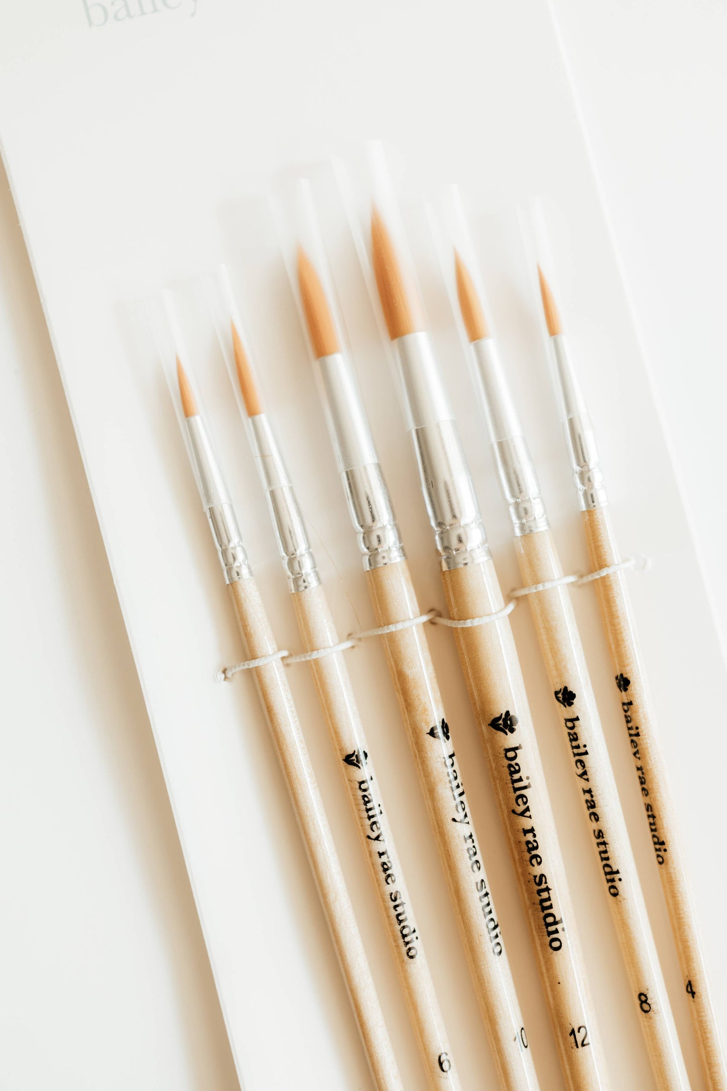 Round Paint Brush Set – 6 Essential Sizes