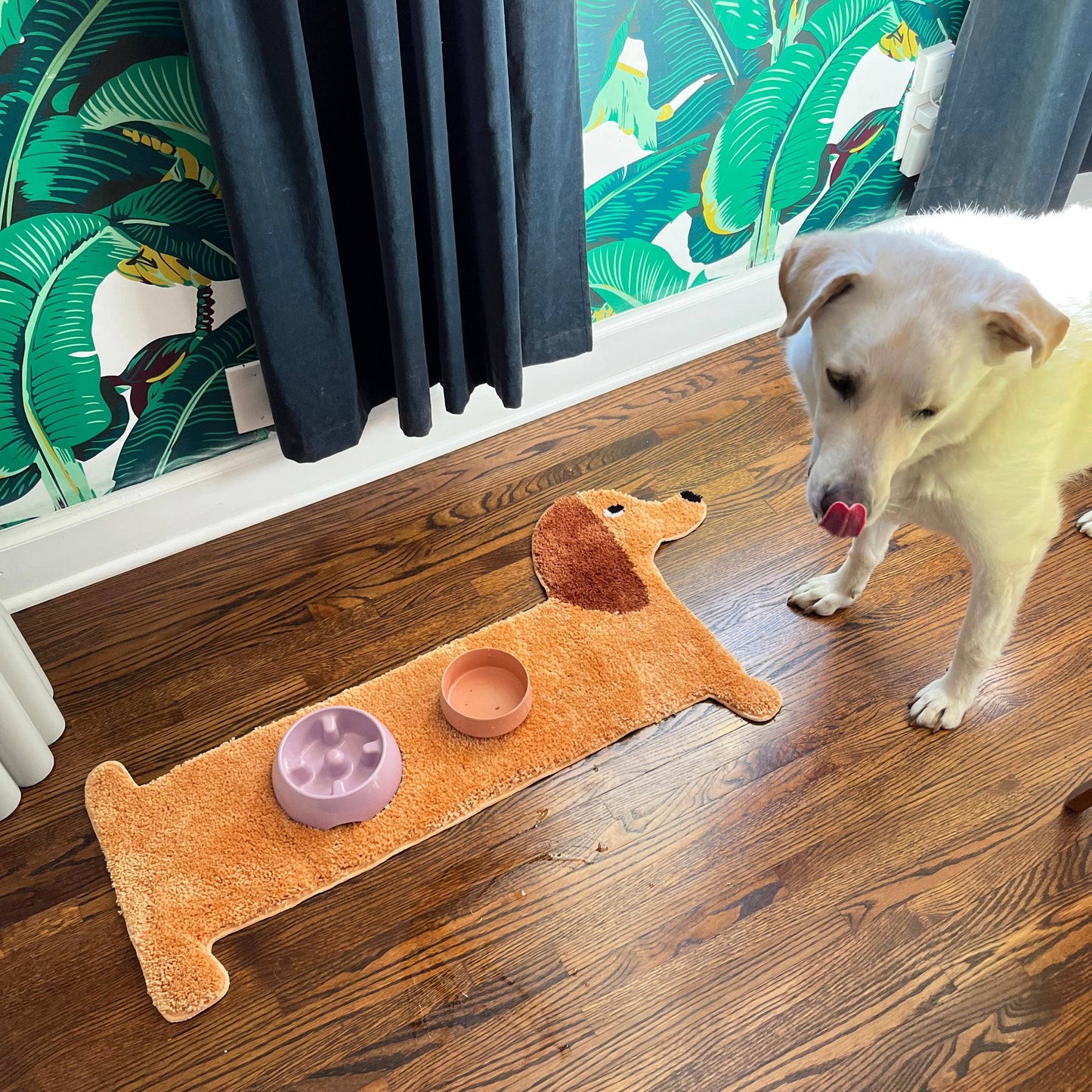 Dachshund Design Rug