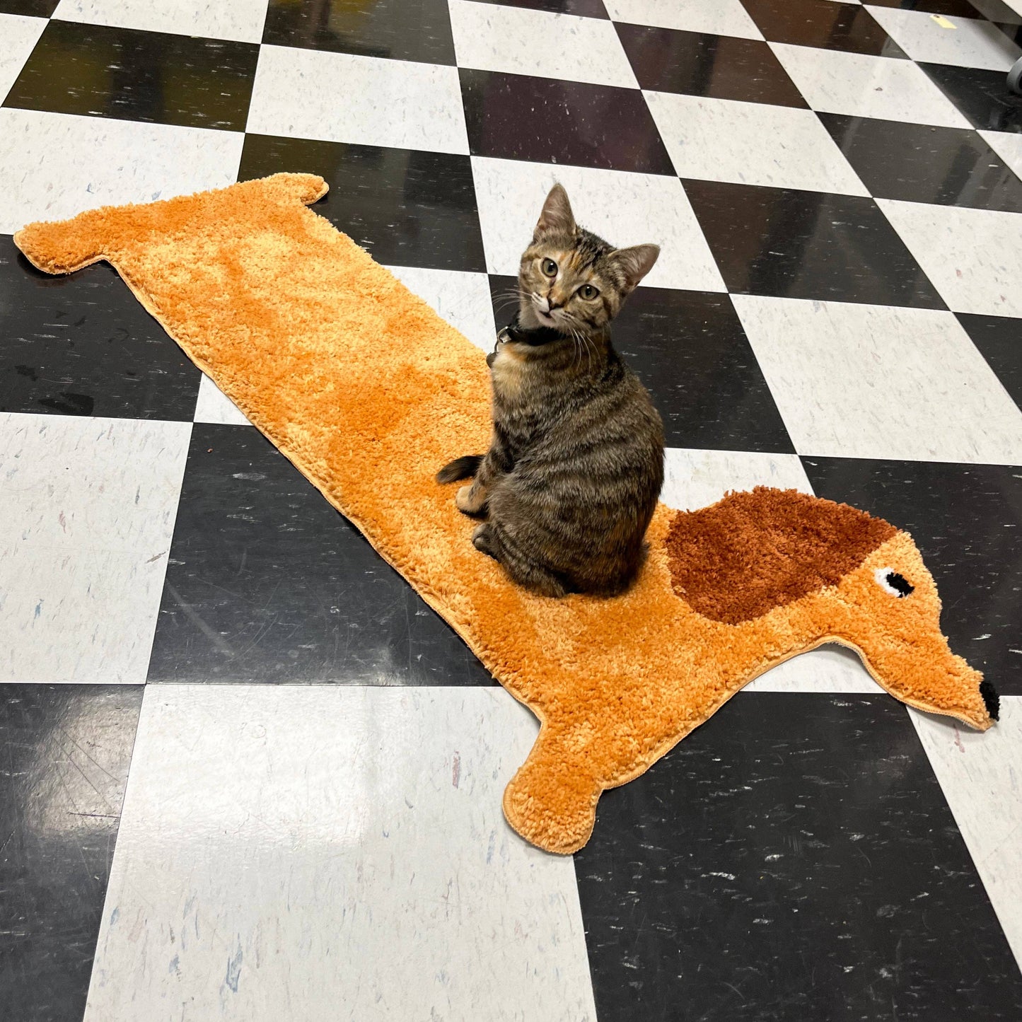 Dachshund Design Rug