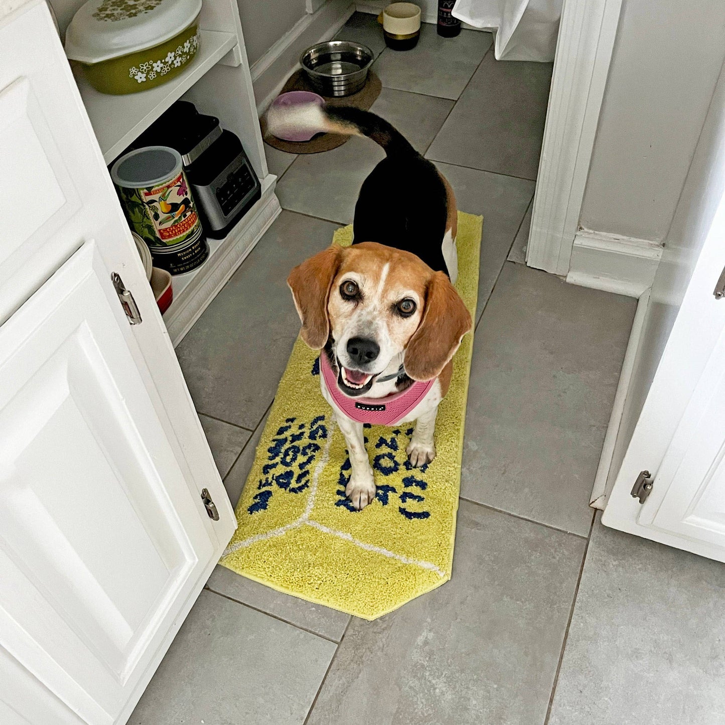 Stick of Butter Novelty Rug – Quirky Food-Shaped Decor & Wall Art