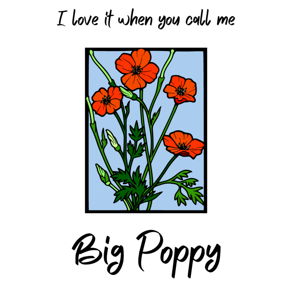 Big Poppy Card
